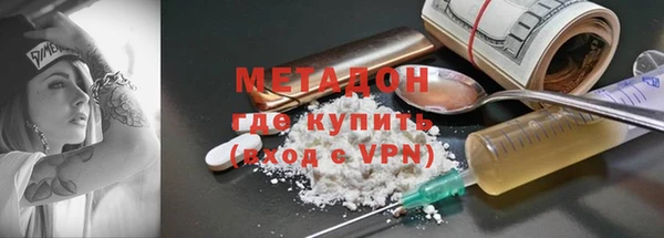 гашик Алексин