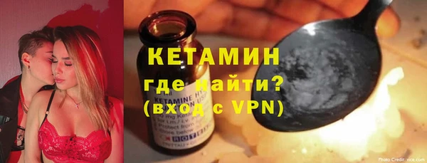 гашик Алексин
