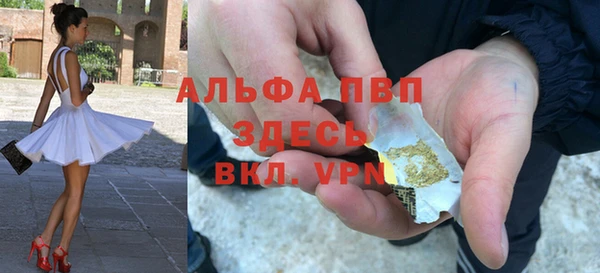 гашик Алексин